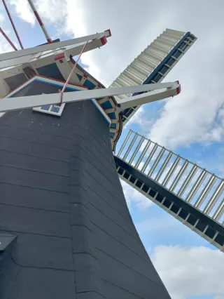 Culturele 50 - een werkende molen bezoeken